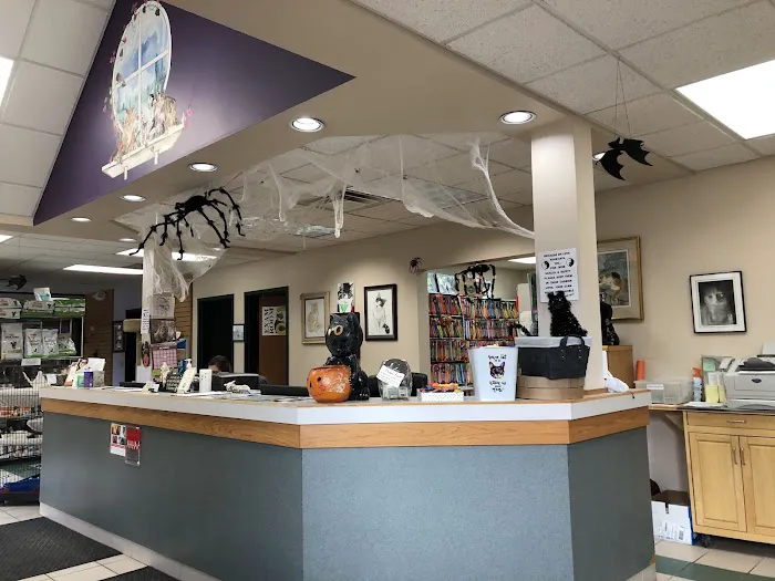Ann Arbor Cat Clinic 6