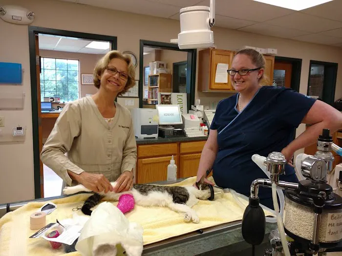 Ann Arbor Cat Clinic 8