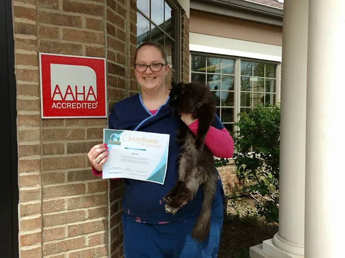 Ann Arbor Cat Clinic 10