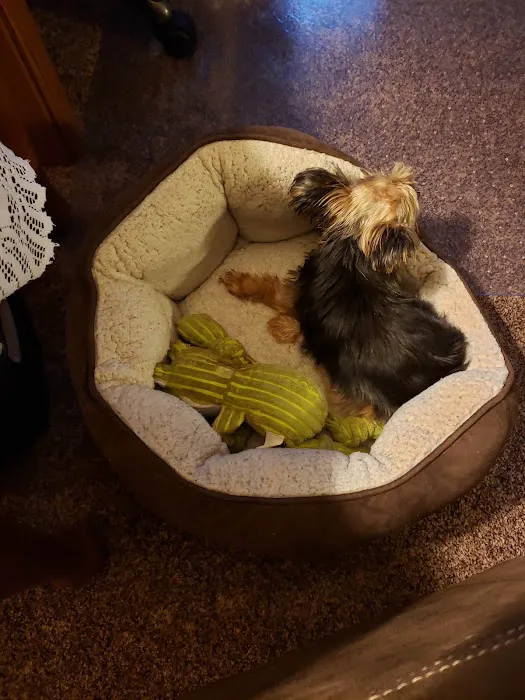 Country Squire Animal Hospital 5