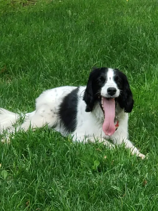 Griffith Veterinary Hospital 5