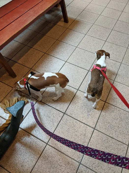 Griffith Veterinary Hospital 8