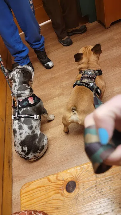 Griffith Veterinary Hospital 2
