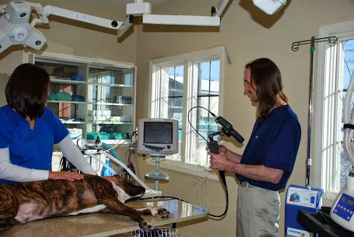 Advanced Veterinary Care Group 8