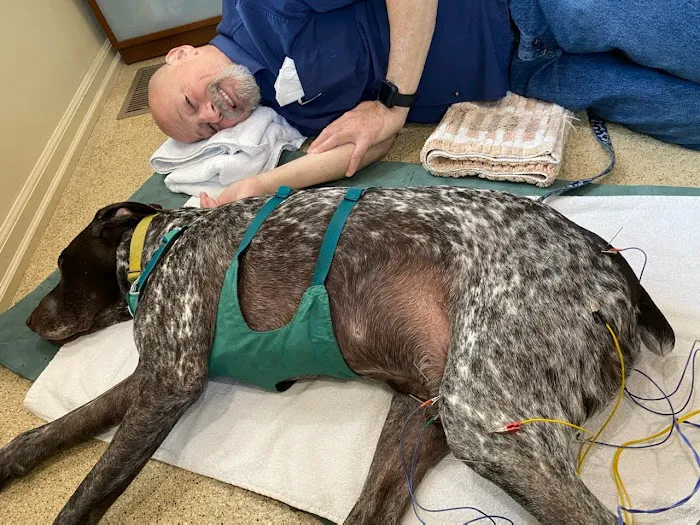 Comfort Care Veterinary Services 9