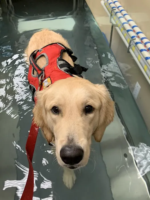 Comfort Care Veterinary Services 10
