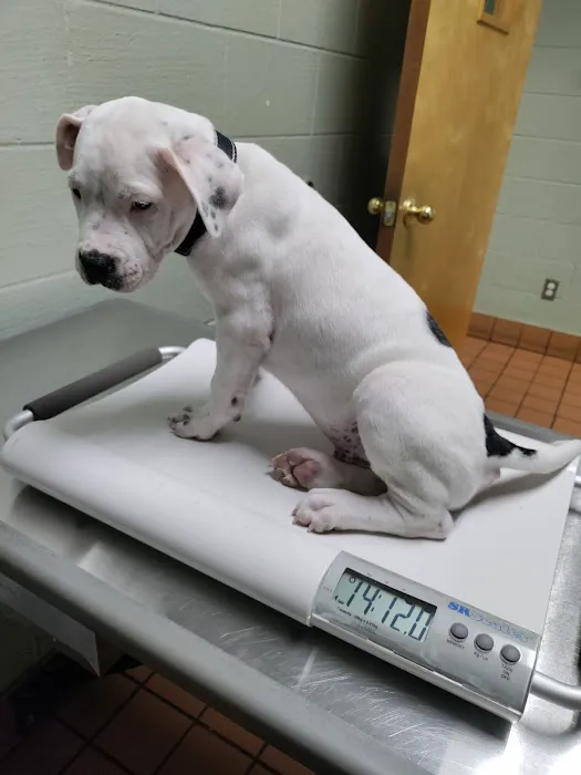 Nichols Veterinary Clinic 6