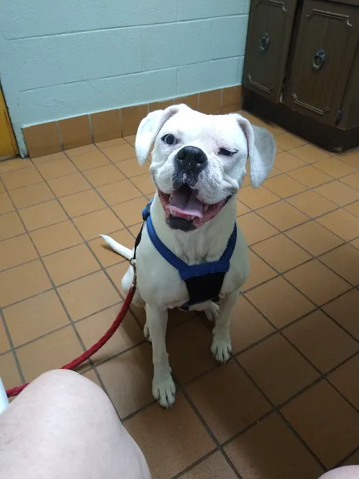 Nichols Veterinary Clinic 3