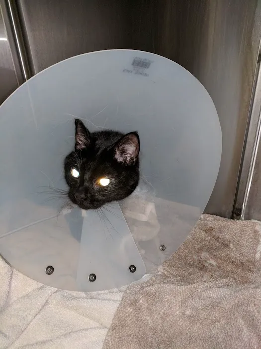 Nichols Veterinary Clinic 1