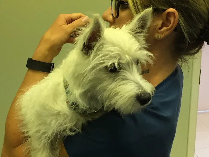 Arbor Pointe Veterinary Hospital 7