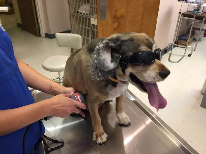 Arbor Pointe Veterinary Hospital 9