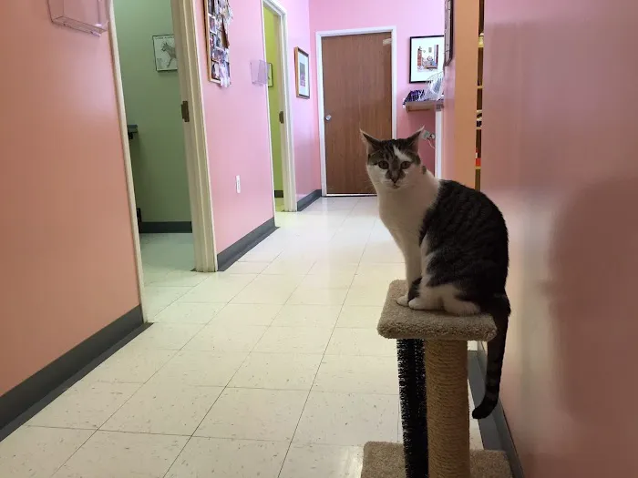 Arbor Pointe Veterinary Hospital 1
