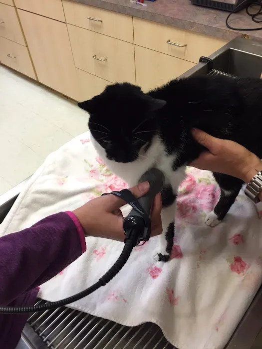 Arbor Pointe Veterinary Hospital 3