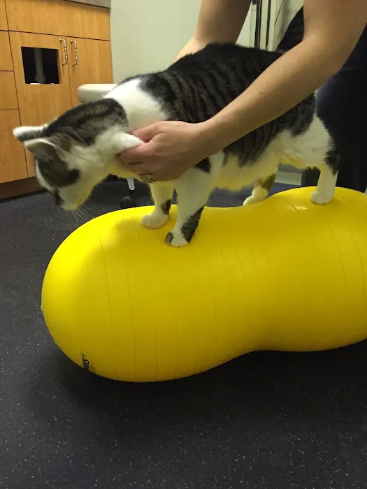 Arbor Pointe Veterinary Hospital 6