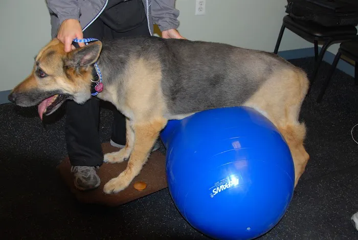 Arbor Pointe Veterinary Hospital 10
