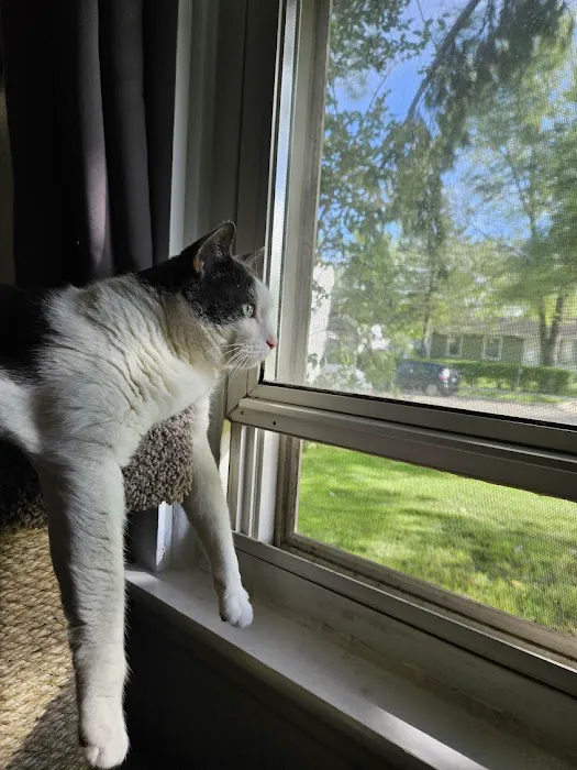 Veterinary Clinic at the Humane Society of Huron Valley 7