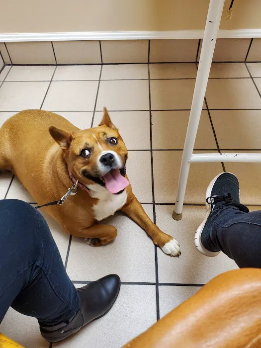 Trenton Veterinary Hospital 6