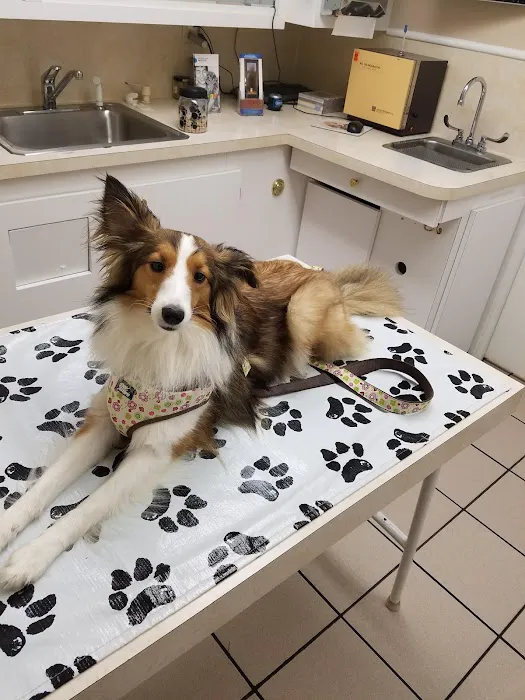Trenton Veterinary Hospital 3