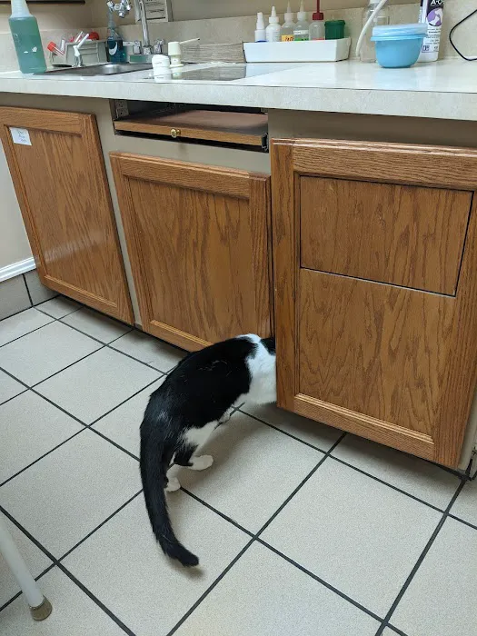 Trenton Veterinary Hospital 5
