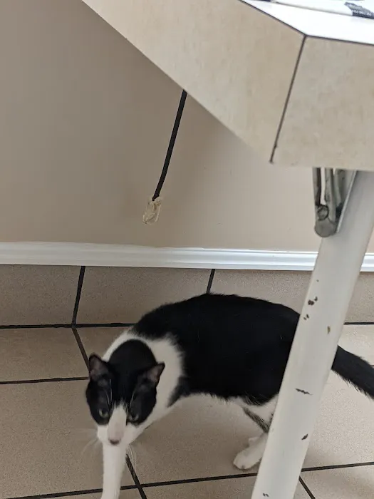 Trenton Veterinary Hospital 1