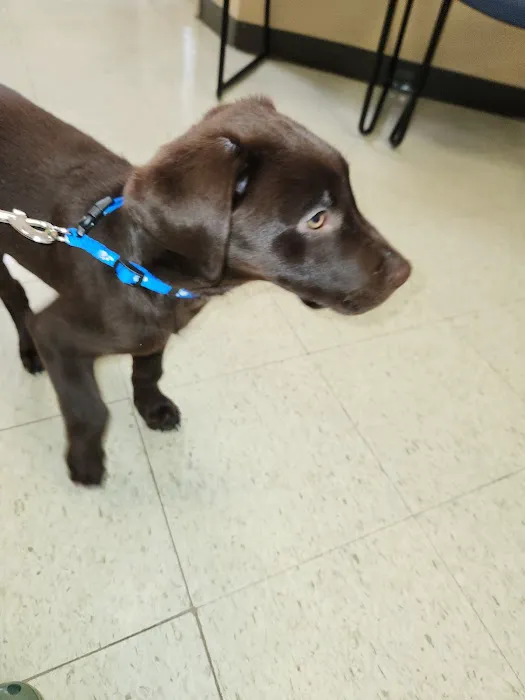 Riverview Animal Hospital 5