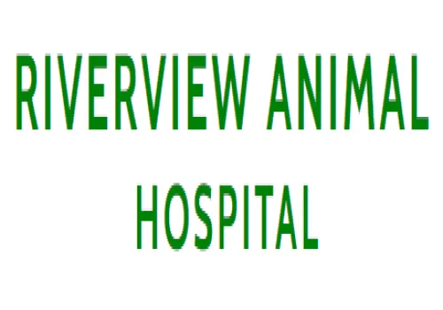 Riverview Animal Hospital 9