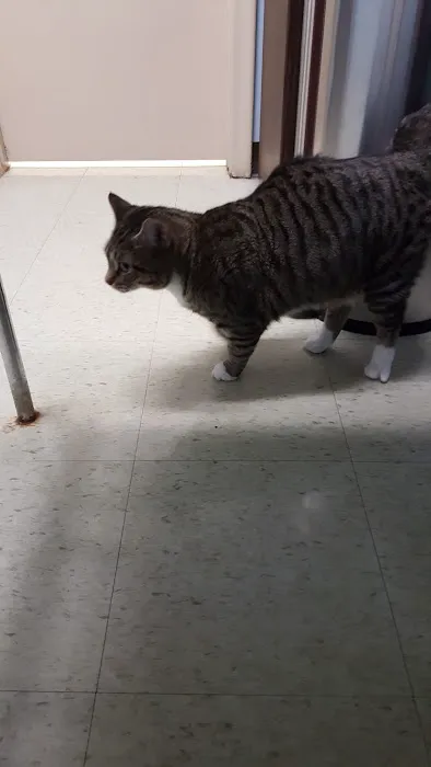 Riverview Animal Hospital 8
