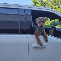 Riverview Animal Hospital ico