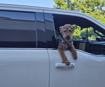 Riverview Animal Hospital