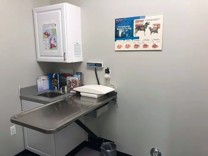 Blue Paws Animal Hospital 10