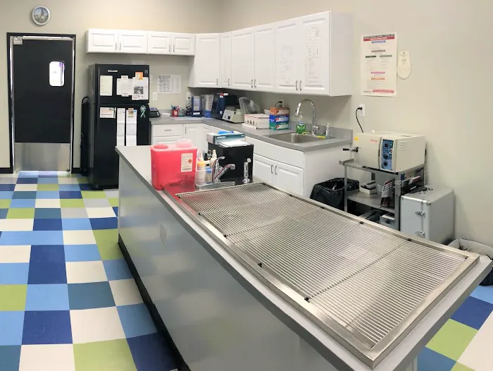 Blue Paws Animal Hospital 5