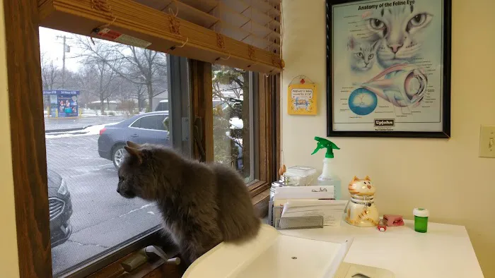 Island Animal Clinic 12