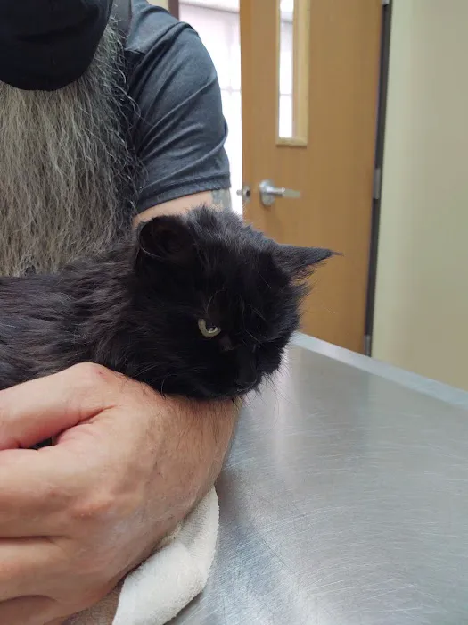 Angel Animal Hospital Of Southgate 12