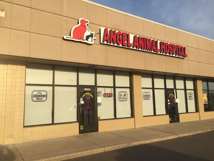 Angel Animal Hospital Of Southgate 12