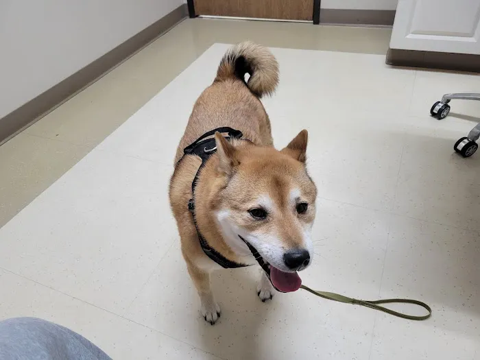 Southgate Animal Hospital 8