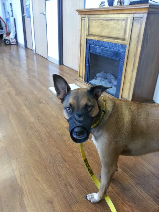 Southgate Animal Hospital 7