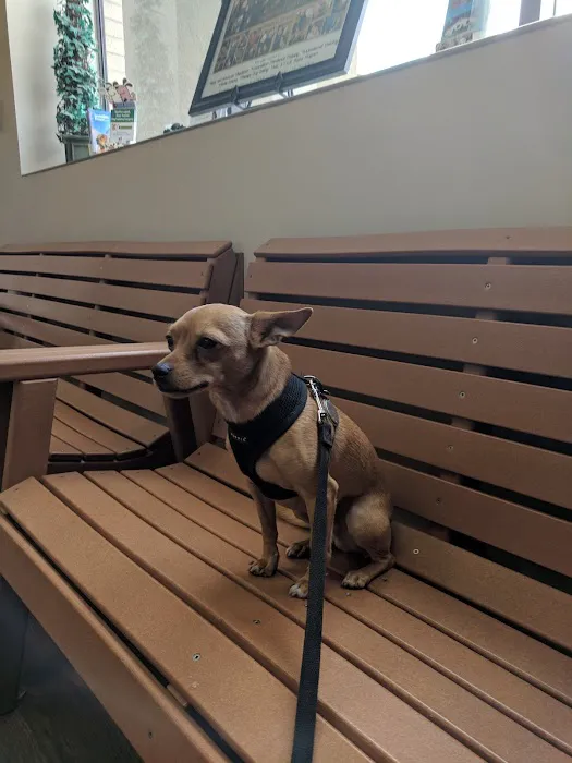 Southgate Animal Hospital 3