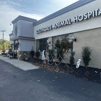 Southgate Animal Hospital ico