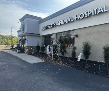 Southgate Animal Hospital