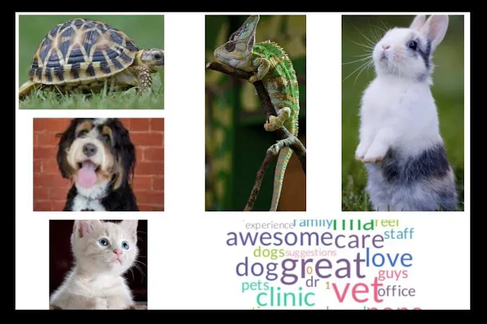 Southgate Animal Hospital 10