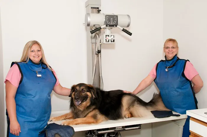 Taylor Veterinary Clinic 8