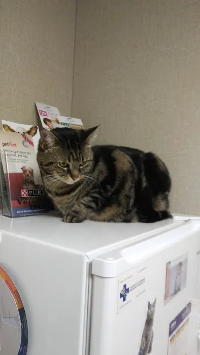 Wyandotte Animal Hospital 12