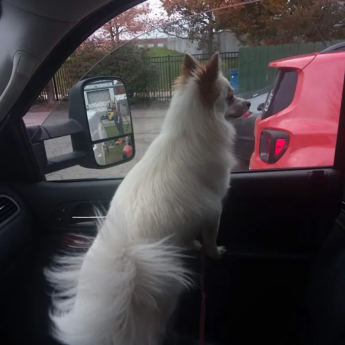 Wyandotte Animal Hospital 12