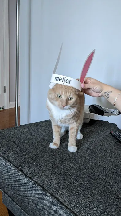 The Paws Clinic 2