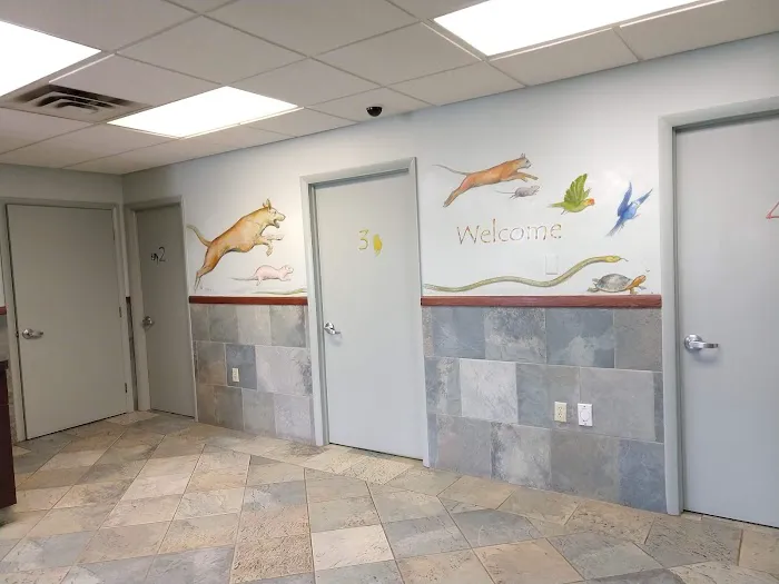 Southpointe Veterinary Hospital 5