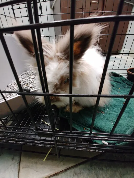 Southpointe Veterinary Hospital 8