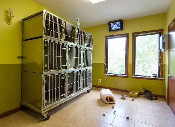 Northville Animal Hospital 12