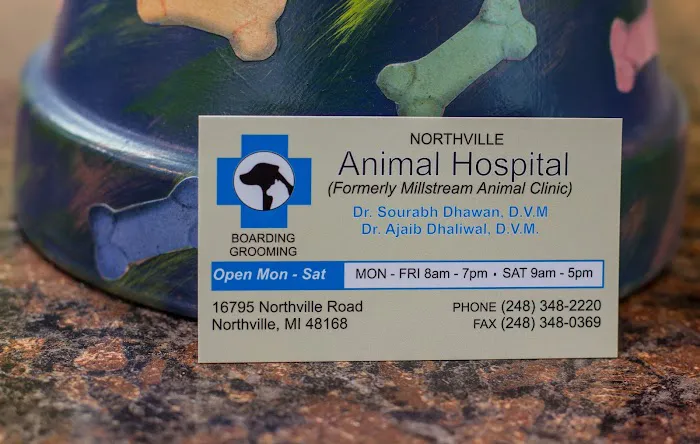Northville Animal Hospital 12