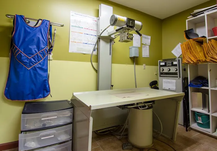 Northville Animal Hospital 12