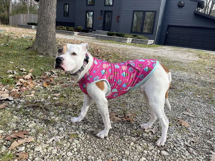 Banfield Pet Hospital 12